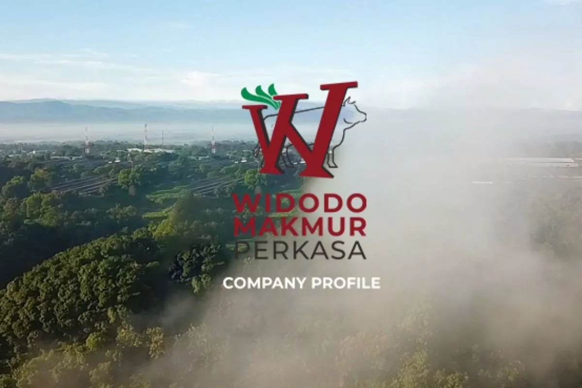 Widodo Makmur Perkasa Gelar Rights Issue Rp 635,45 M