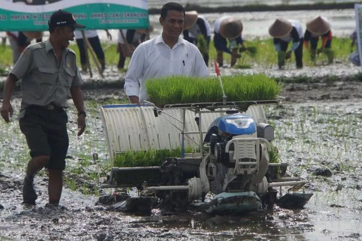 Mentan Amran Dorong Petani Lombok Terapkan Pola Tanam Modern PMAAS