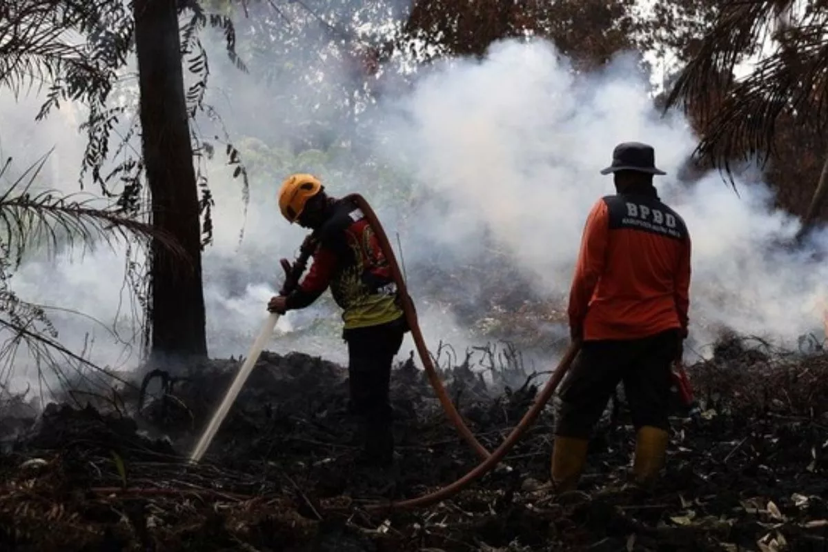 Karhutla Meluas, Wacana Status Bencana Nasional Mengemuka