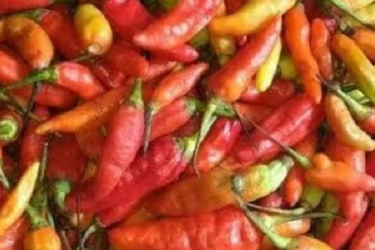 Harga Pangan Hari Ini: Cabai Rawit Merah Capai Rp 60 Ribu Per Kilogram