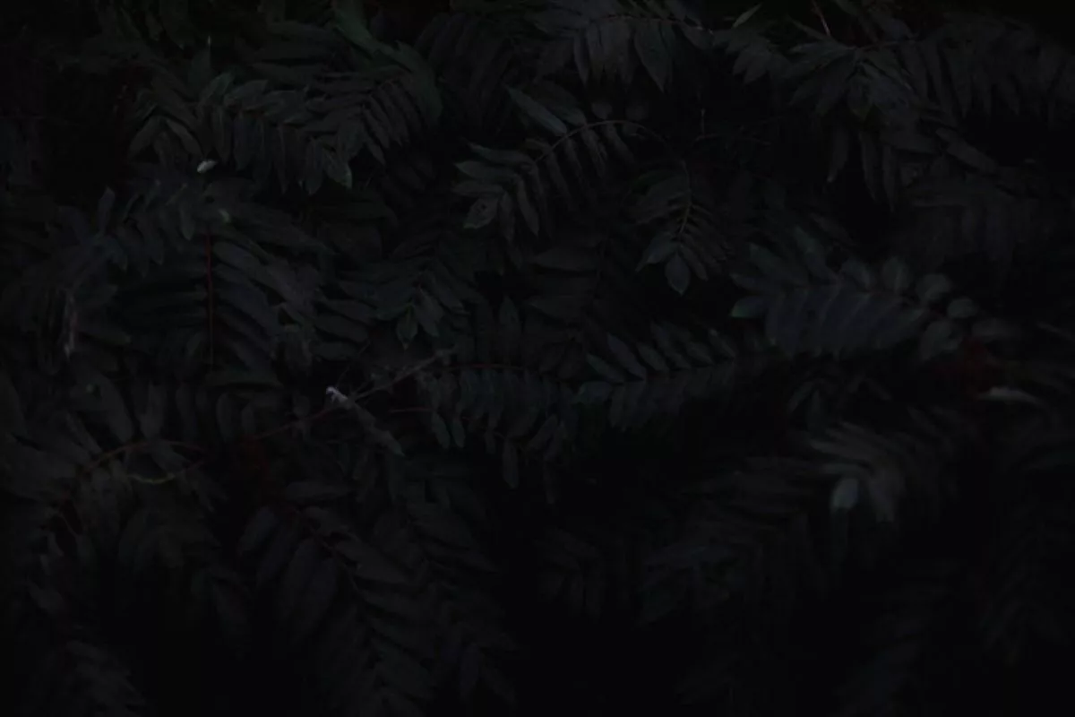 Karakter Orang yang Suka Warna Hitam Menurut Ahli Memang Misterius