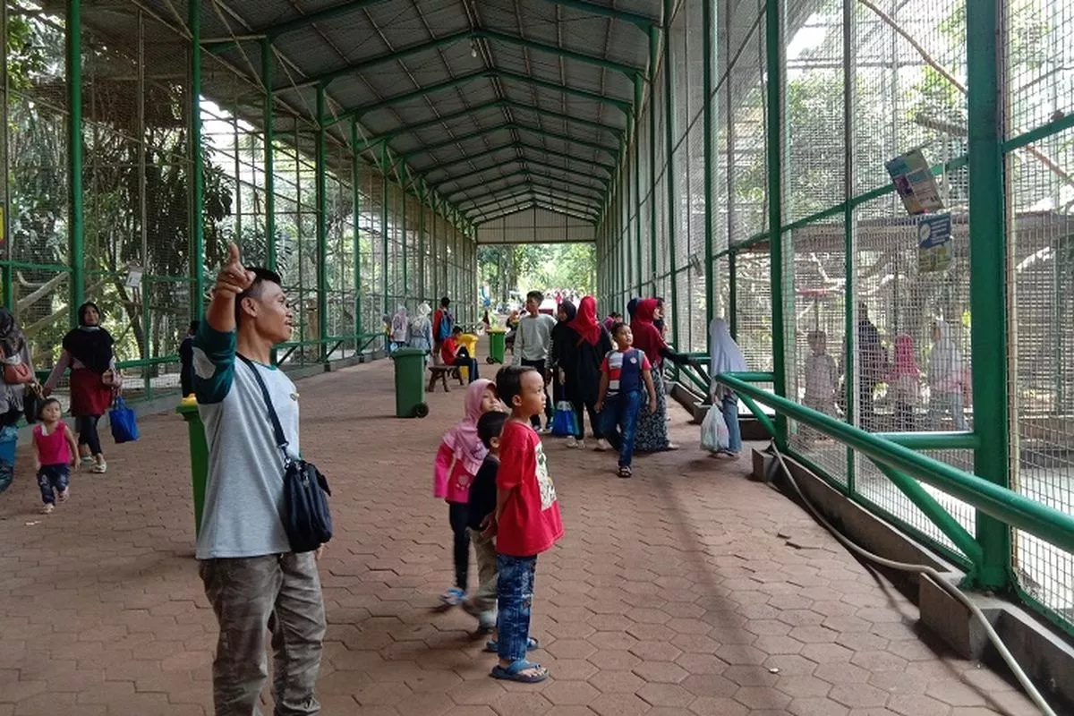 Pengelola Ragunan Targetkan 40 Ribu Pengunjung pada 1 Muharram 1448 H