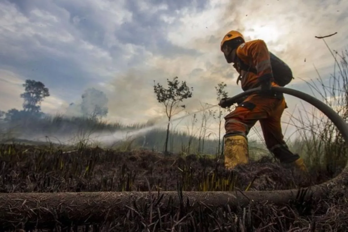 Penanganan Karhutla Kalimantan Dioptimalkan Lewat Pembangunan Sumur Bor