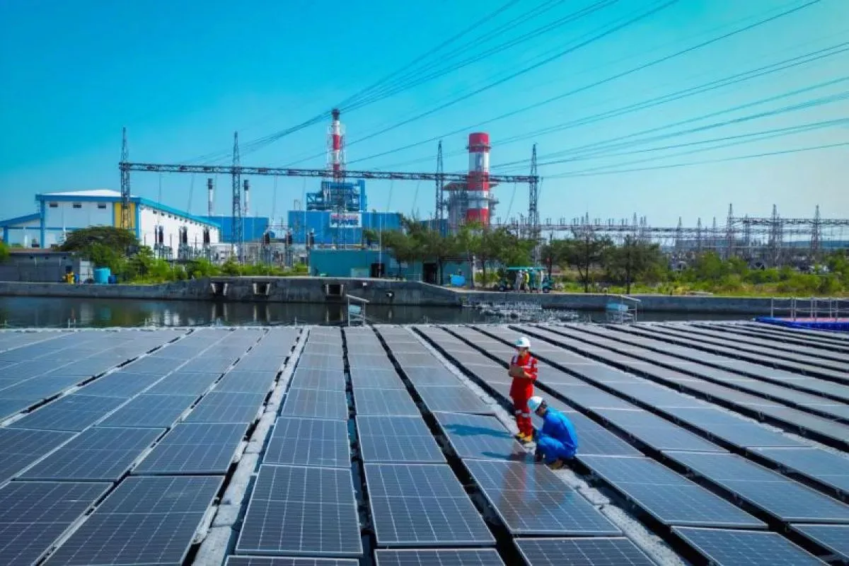 PLN EPI Digitalisasi Pembibitan Biomassa demi Transisi Energi