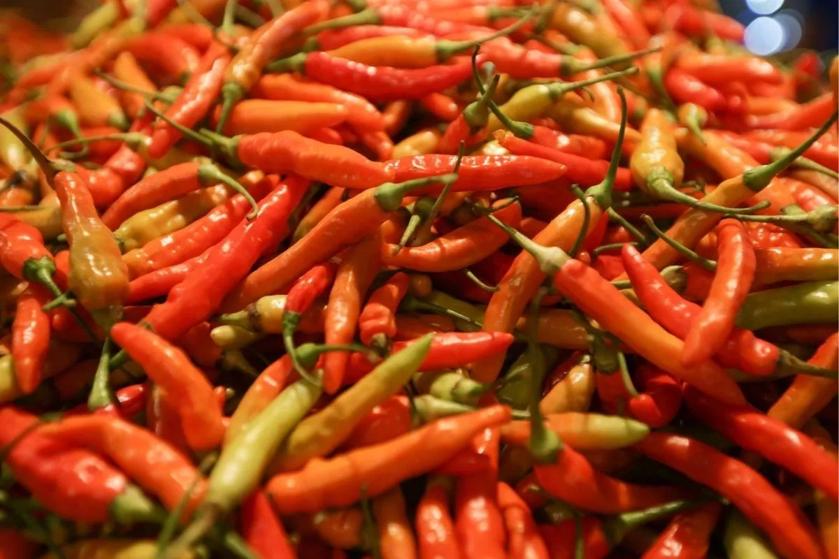 Update Harga Pangan: Cabai Rawit Merah Tembus Rp75.700 per Kilogram