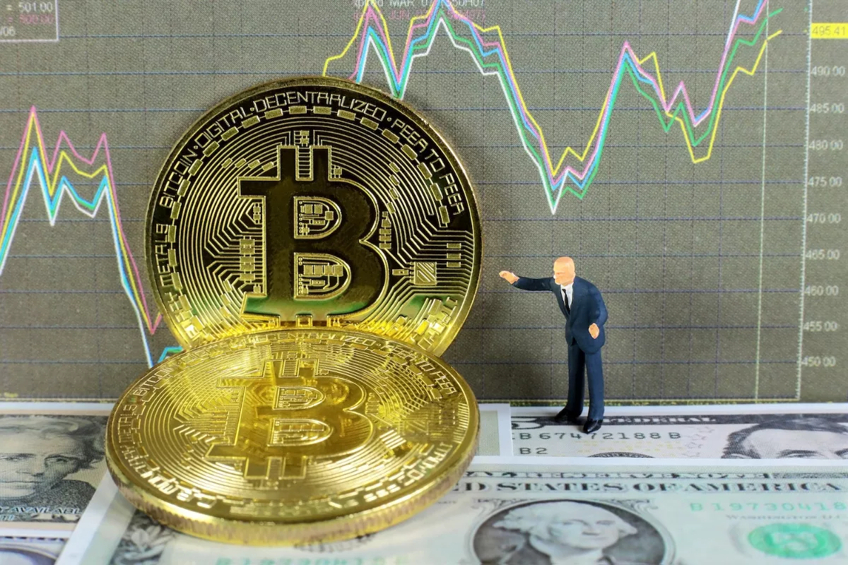 Strategi BlackRock Alokasikan 1 sampai 2 Persen Bitcoin di Portofolio
