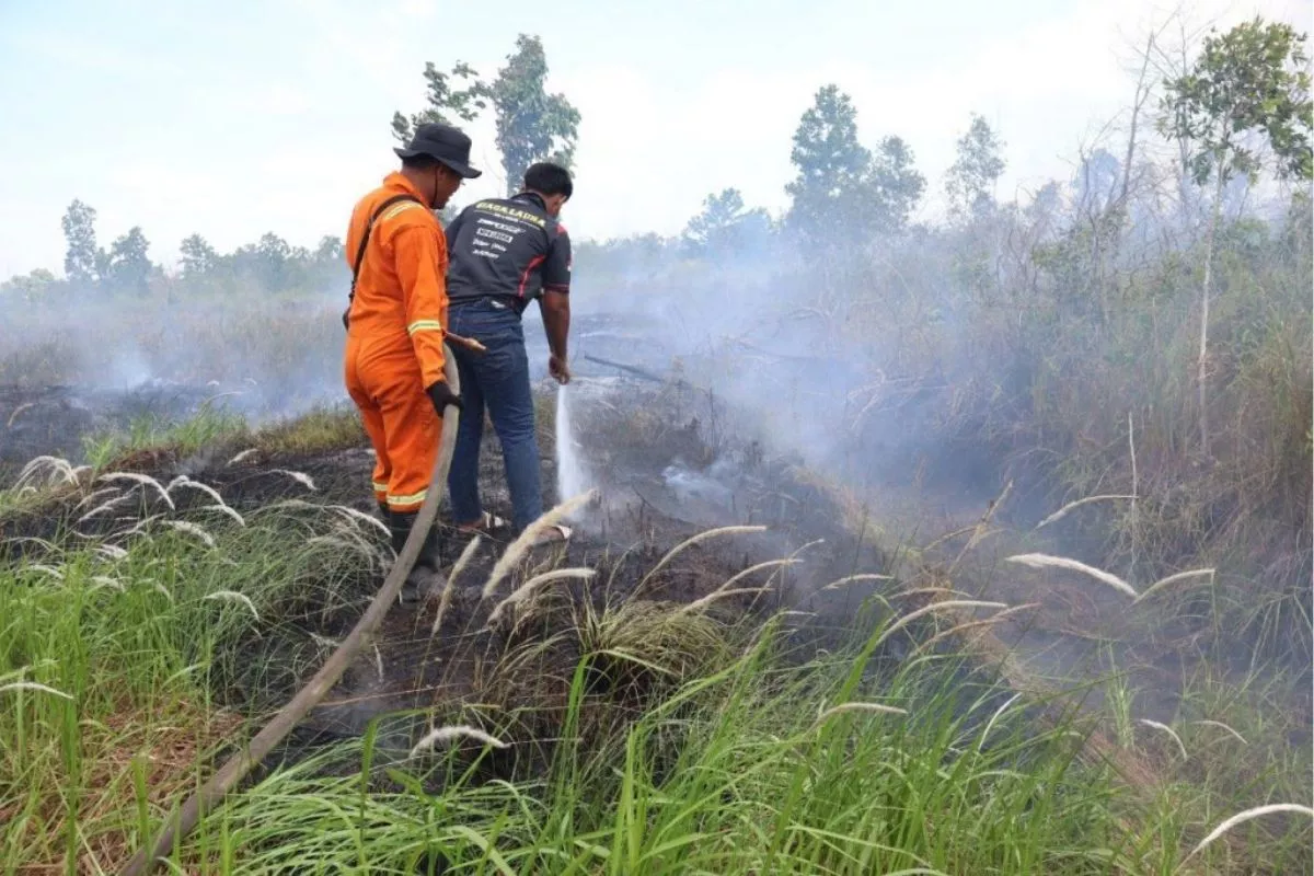 Tangani Karhutla Kalbar dan Kalsel, Baznas RI Terjunkan Tim BTB