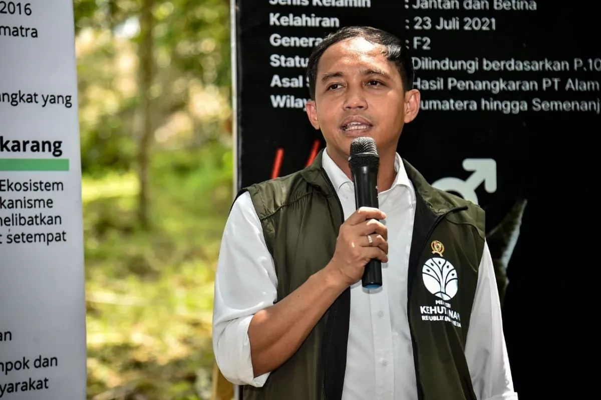Menhut Siaga Karhutla Hadapi Puncak El Nino September Ini