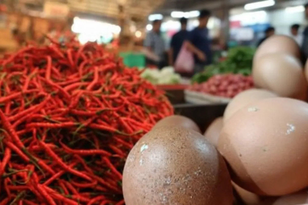 Update Harga Pangan Jumat 10 Juli 2026: Cek Cabai Rawit dan Telur