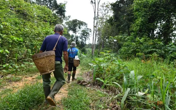 Kredibilitas Tata Kelola dan Keadilan Distribusi Manfaat Jadi Tantangan Perdagangan Karbon 2026