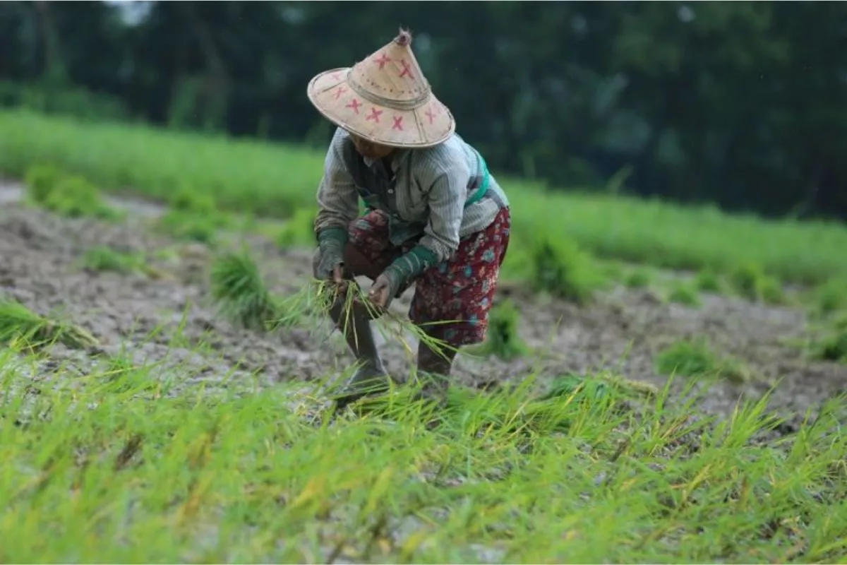 Panduan Cek dan Ajukan Perubahan Status Desil Bansos serta Pertalite