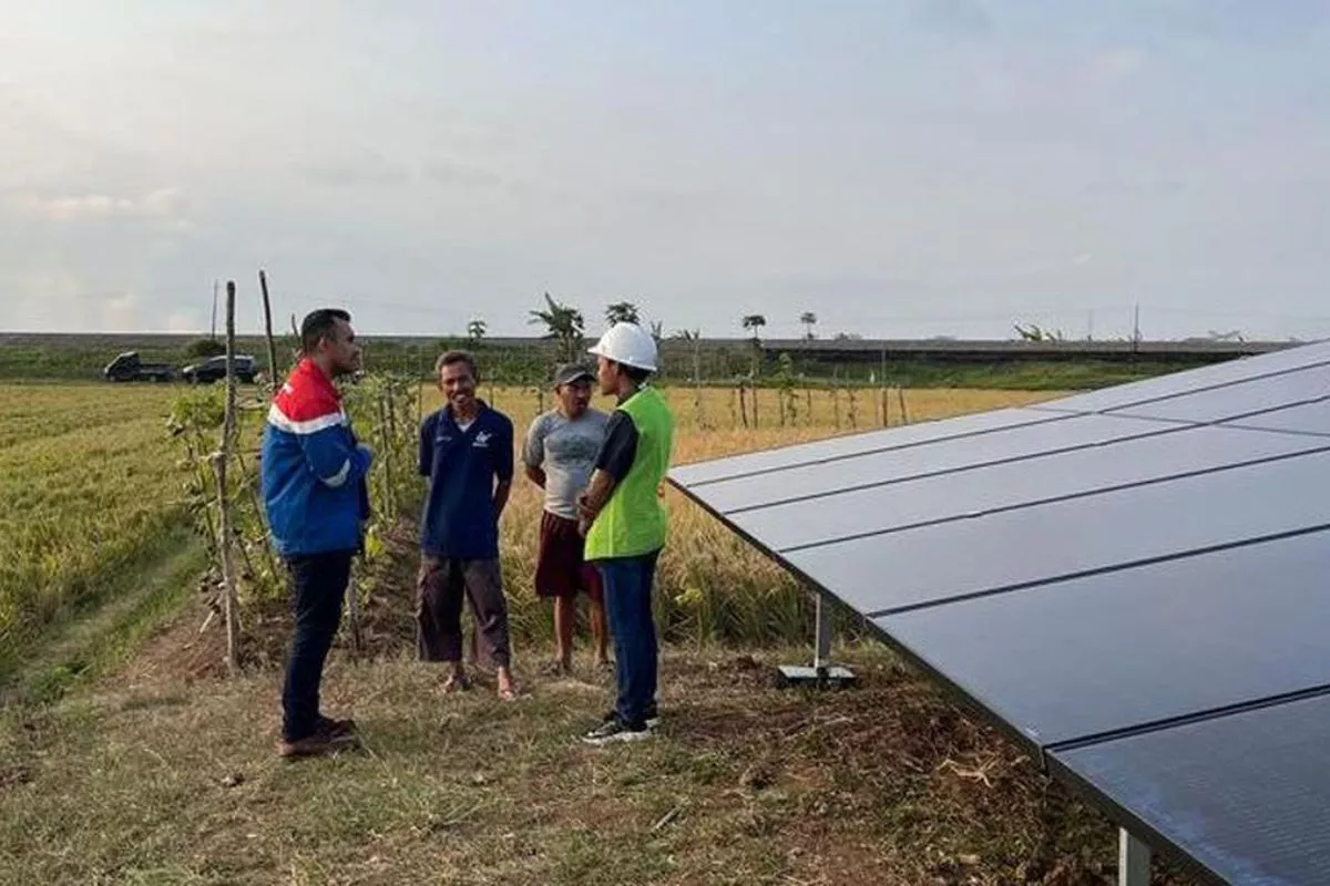 Optimasi Energi Surya, Pertamina Tingkatkan Produktivitas Petani Bali