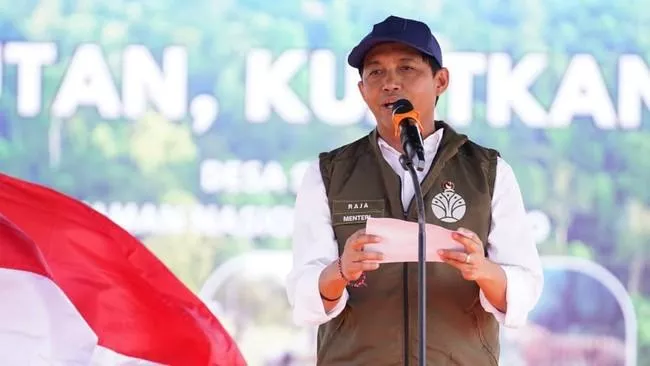 Aturan Baru Terbit, Inilah Syarat Menjadi Pelaku Perdagangan Karbon Tahun 2026