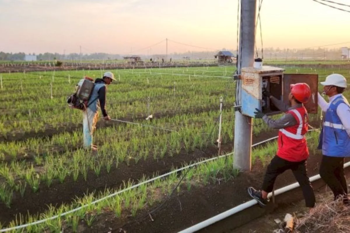 PLN Hadirkan Pengairan Berbasis Listrik Dorong Pertanian Modern