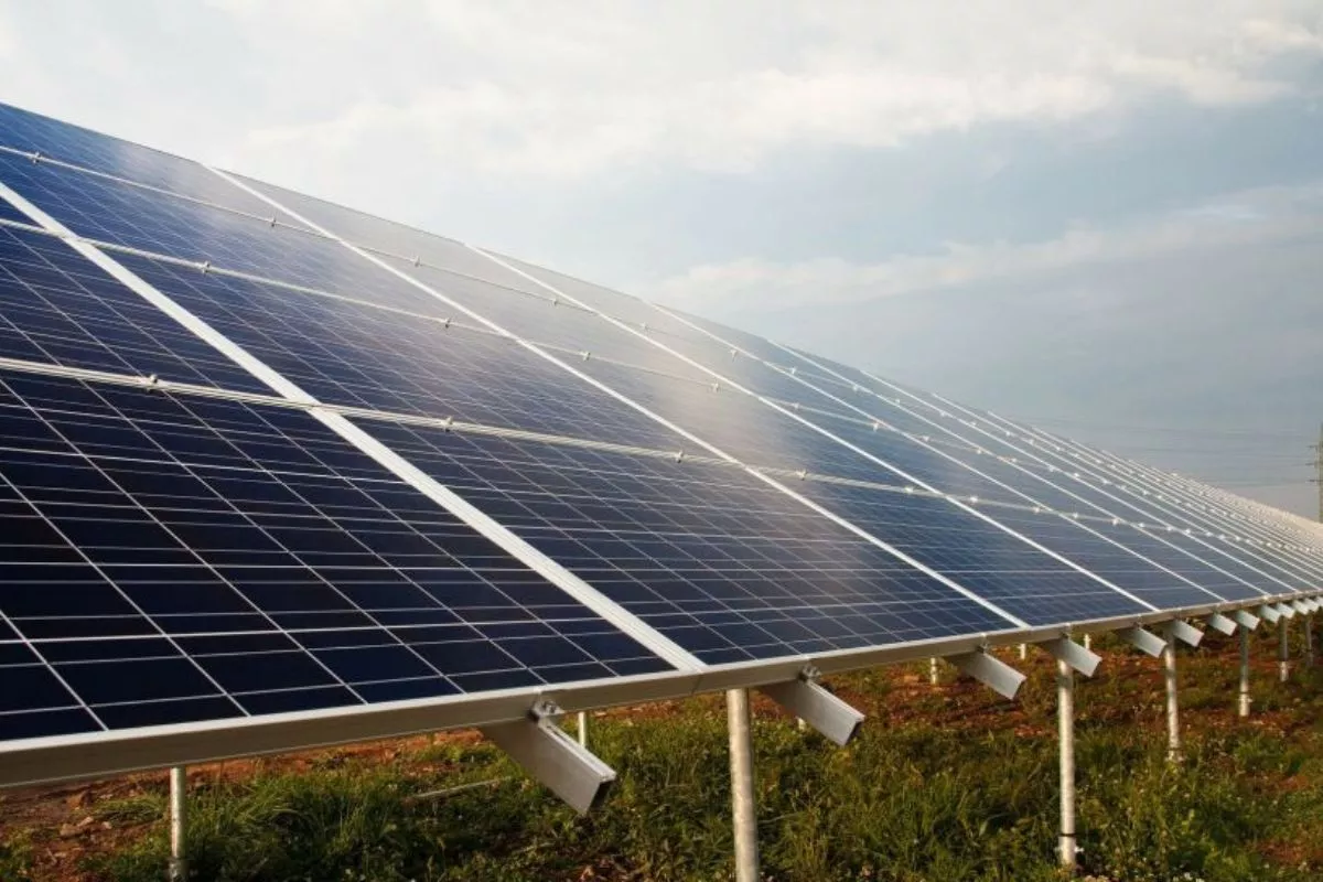Dukung Target NZE 2060, UPNVY Kembangkan Energi Biomassa Kaliandra