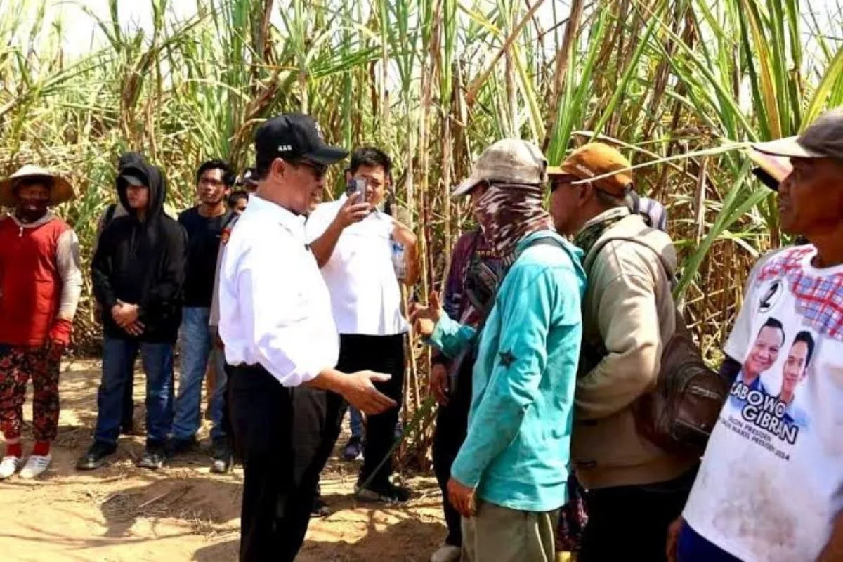 Kejar Swasembada Gula 2 Tahun, Pemerintah Siapkan Rp1,7 Triliun