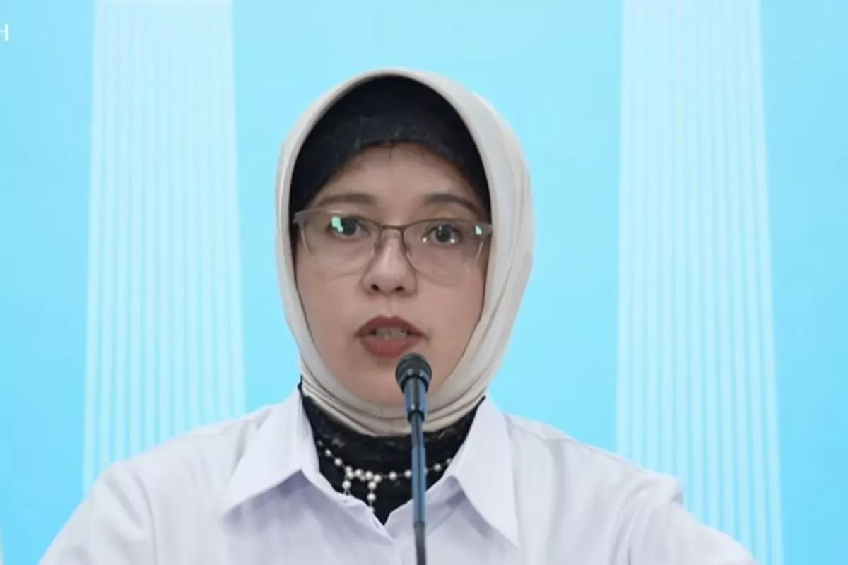 BPS: Terdaftar DTSEN Tak Otomatis Jadi Penerima Bantuan Pemerintah