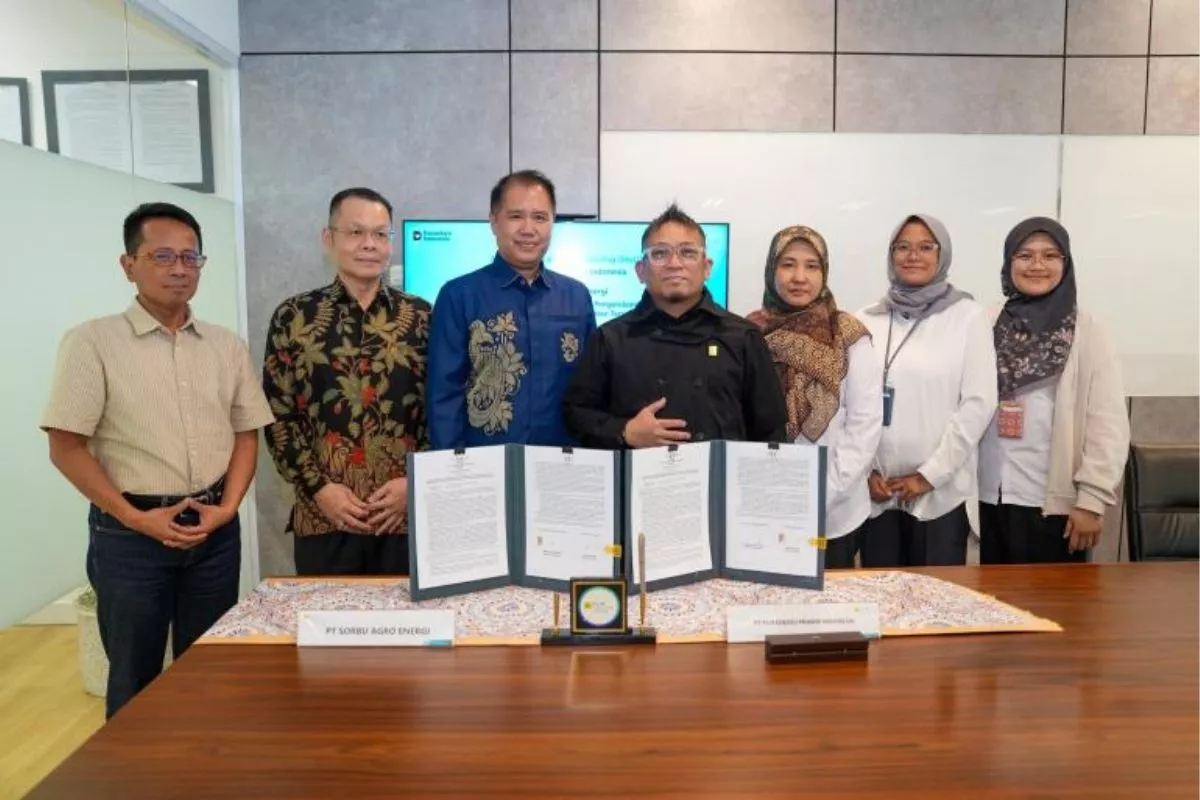 PLN EPI Kembangkan Bioenergi Sorgum demi Akselerasi Transisi Energi