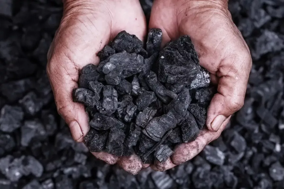Imbas Sentimen India, Harga Batu Bara Sentuh Level Tertinggi Sejak Maret