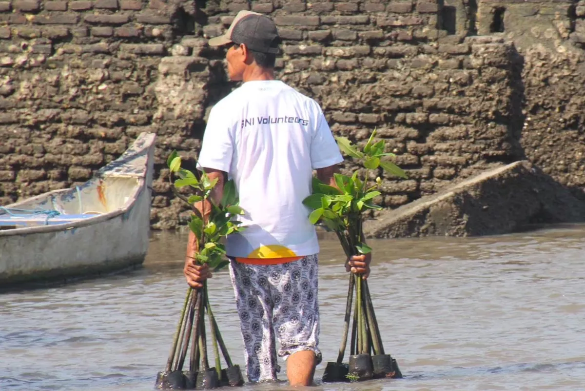 BNI Raih Penghargaan Lewat Penanaman 258 Ribu Mangrove dan Ekowisata