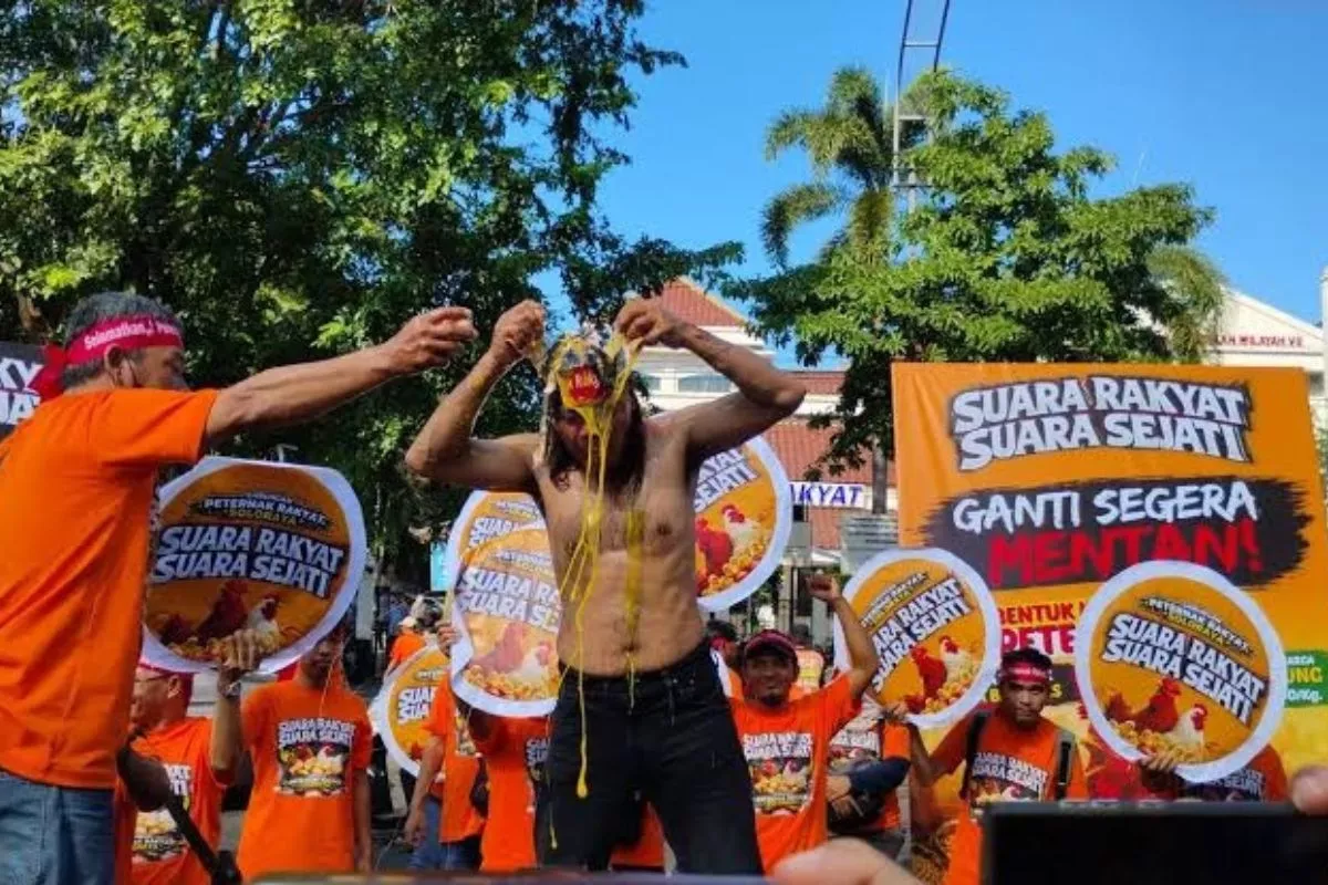 Protes Harga Anjlok Peternak Soloraya Mandi Telur dan Bagi Ayam Gratis