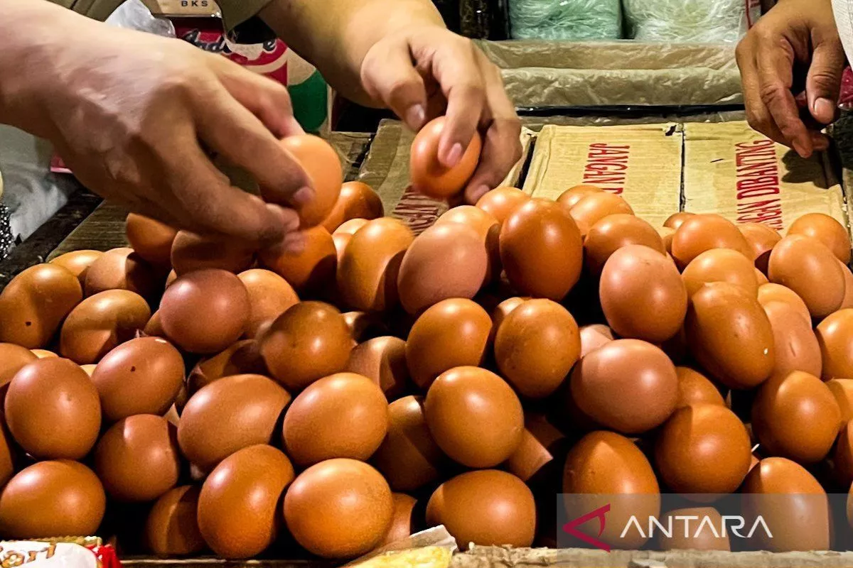Update PIHPS Nasional: Cabai Rawit Rp70.450 dan Telur Ayam Rp28.900/Kg