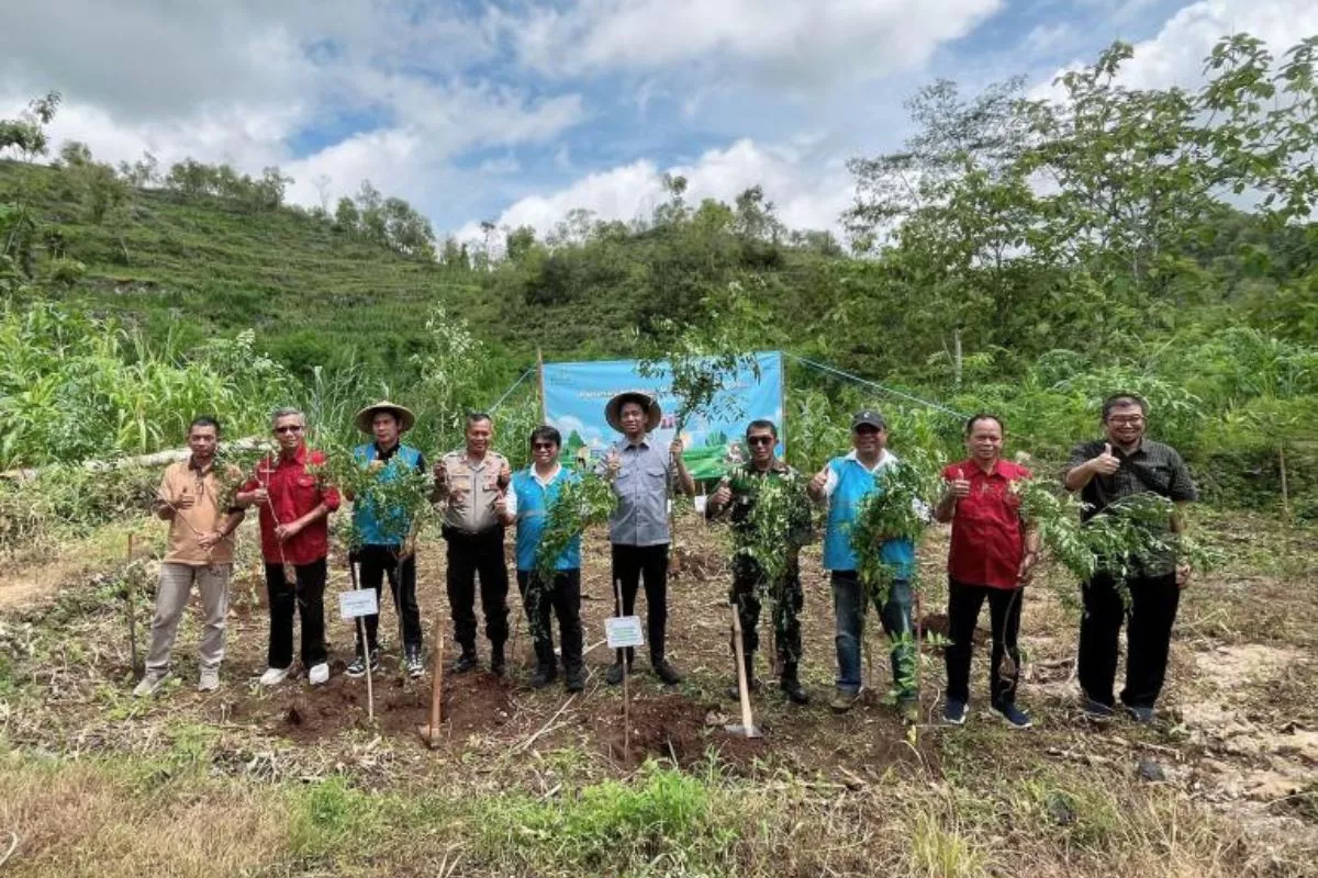 Dukung NZE, PLN EPI Inisiasi Pengembangan Bioenergi Sorgum
