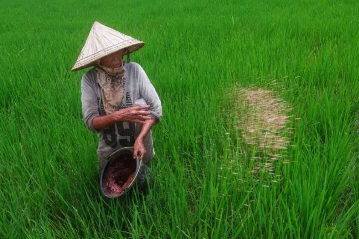 Kinerja Keuangan Pupuk Indonesia Naik Pesat
