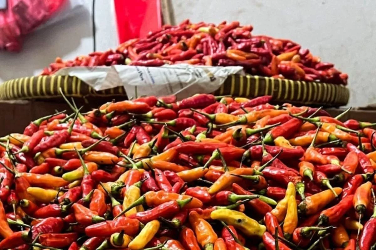 Update Harga Pangan: Cabai Rawit Rp63.700 dan Telur Ayam Masih Tinggi