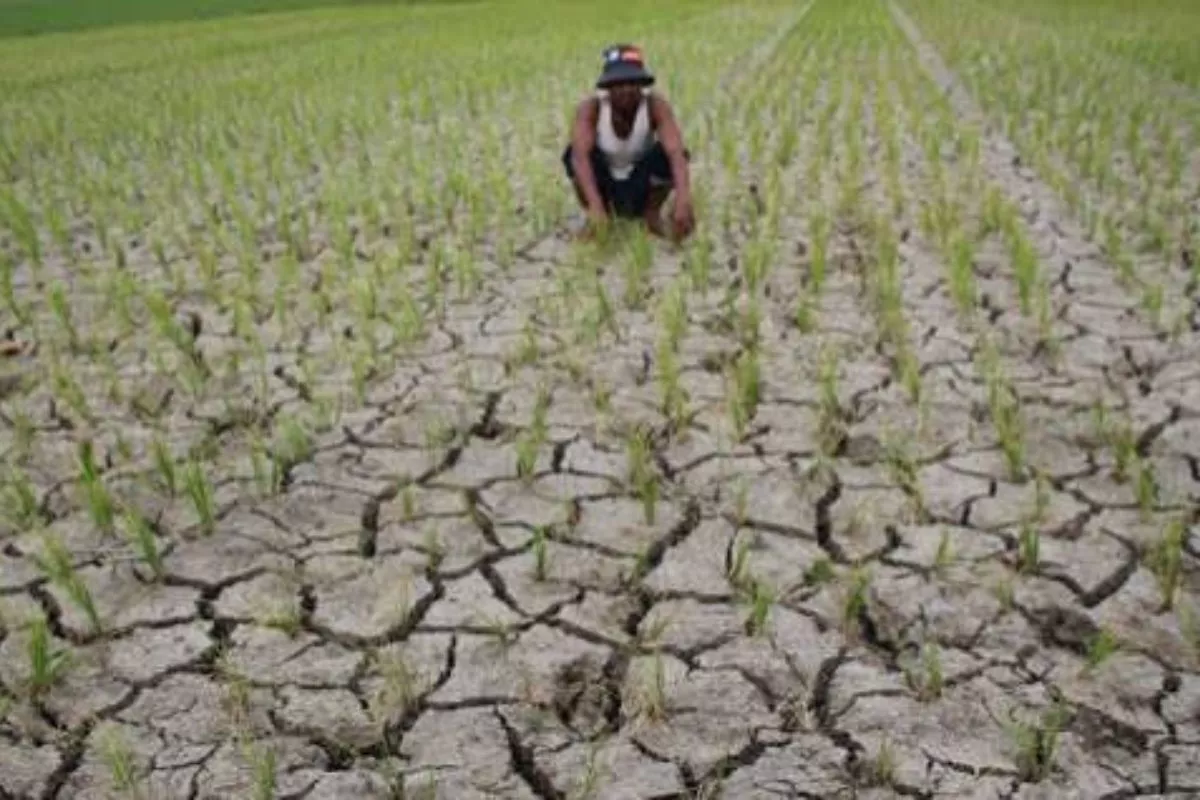 Antisipasi El Nino, Pemprov Jabar Petakan Wilayah Rawan Kekeringan