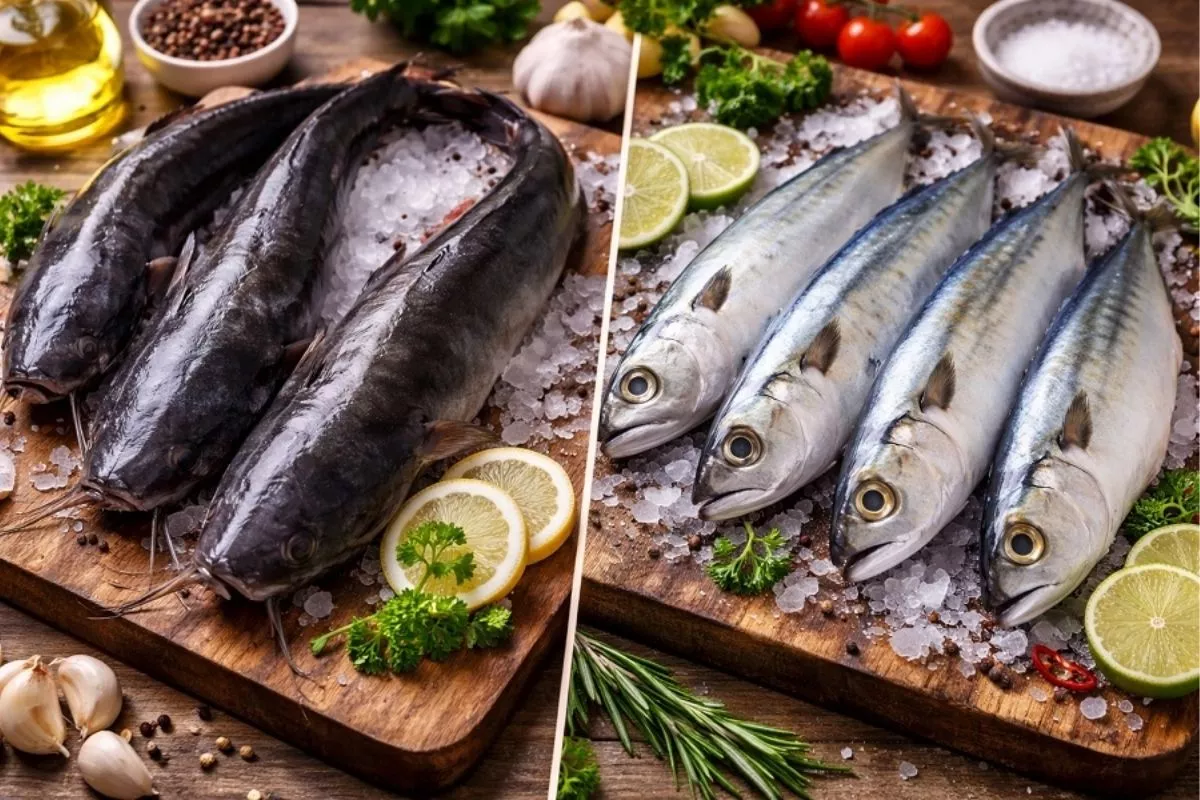 Lele vs Kembung, Mana Pilihan Protein Terbaik untuk Jangka Panjang?