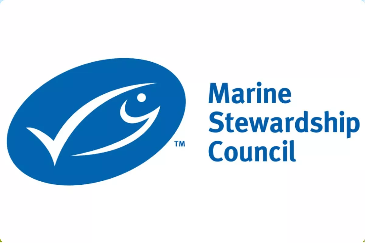 MSC, BRIN, dan AP2HI Kolaborasi Perkuat Data Tuna Cakalang Indonesia