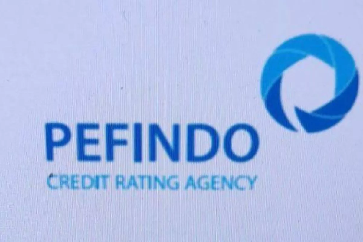 Pefindo: Penerbitan Surat Utang Korporasi Turun 3,91% di Semester I
