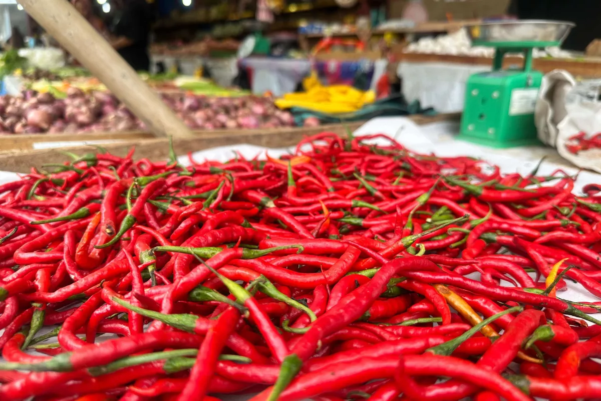 Harga Pangan di Pasar Terubuk Bengkalis Stabil, Cabai Tertinggi