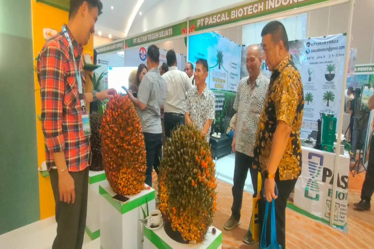 GAPKI Gelar Andalas Forum VI Perkuat Sinergi Energi Kelapa Sawit