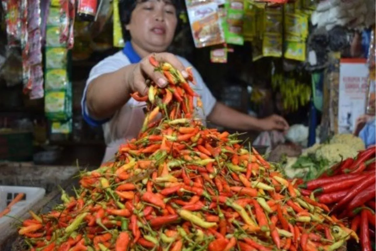 Pantauan PIHPS: Cabai Rawit Rp78.100/Kg & Telur Ayam Rp29.550