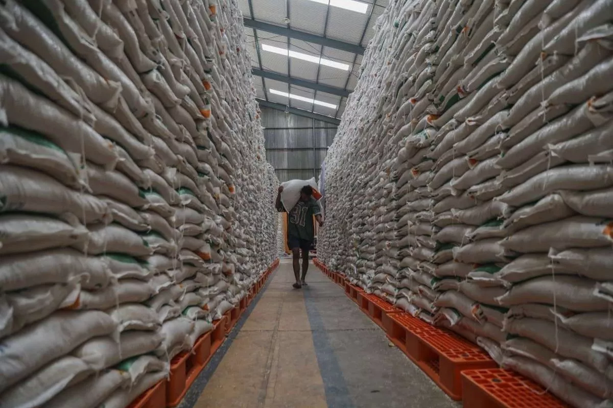 380 Ribu Ton Beras Bulog Diolah Jadi Tepung, Bapanas Pastikan Mutu Bagus