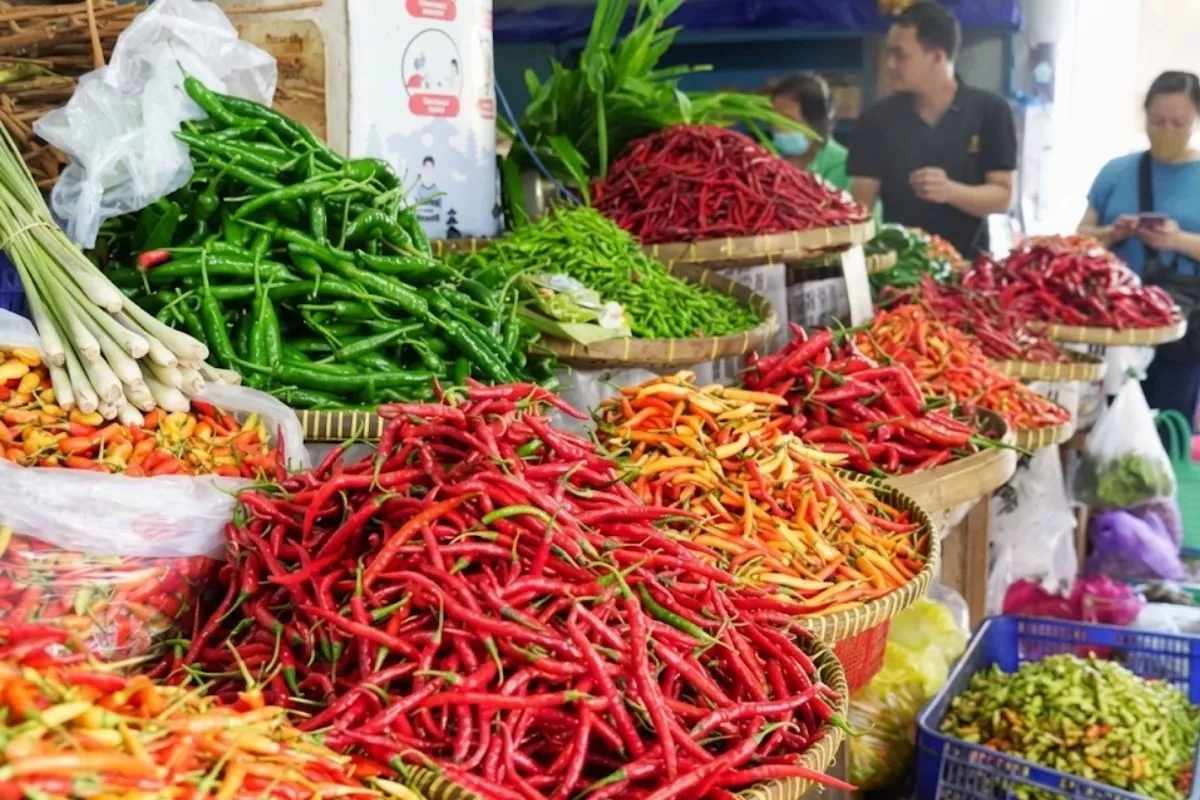 Pemda Perketat Pantauan Harga Pangan Hari Ini Demi Stabilitas Pasar