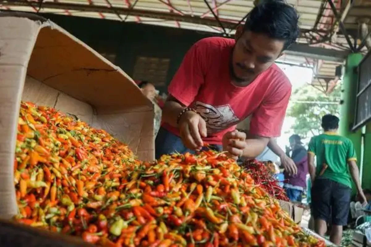Sejumlah Harga Pangan Nasional Kembali Melonjak pada 23 Juli