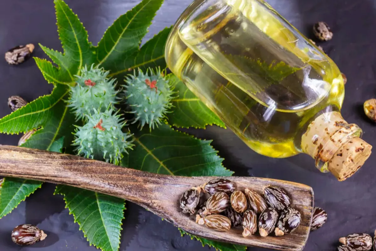 Castor Oil Bikin Bulu Mata Lentik Lebat Apakah Mitos atau Fakta