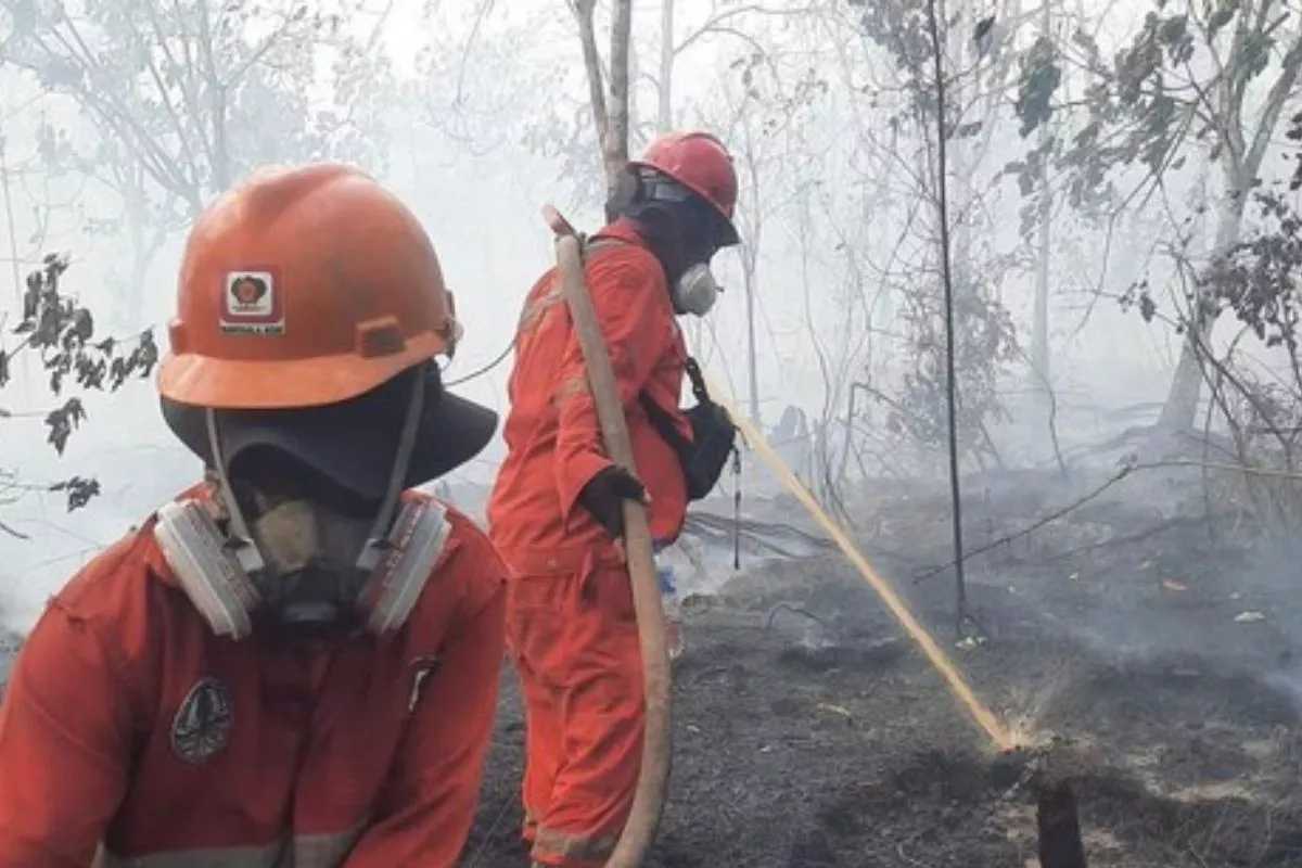 Tangani Karhutla, Kementerian PU Kirim Dukungan Air di Kalimantan-Jambi