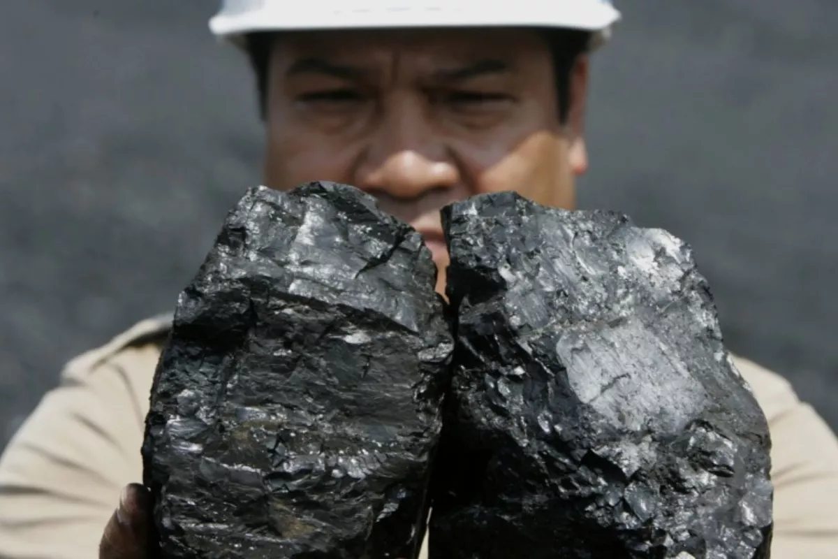 CPO Turun 0,35 Persen, Harga Batu Bara dan Timah Justru Menguat