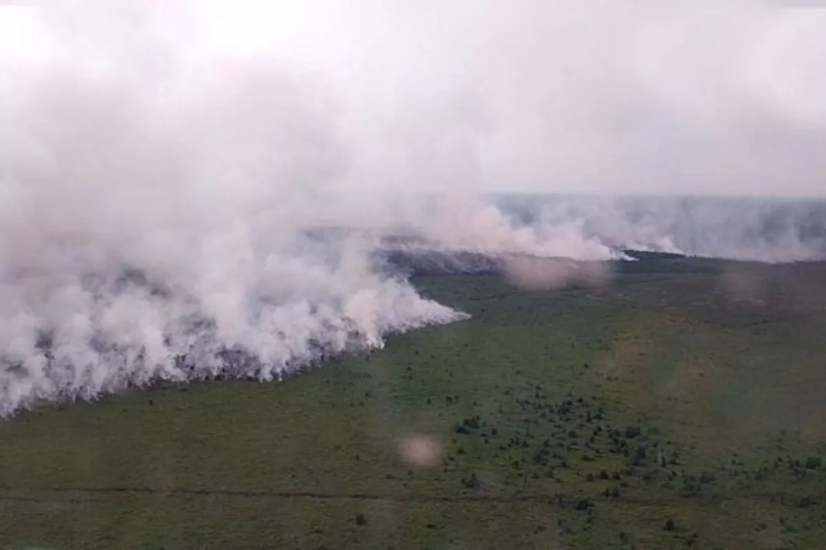 Kotim Diselimuti Kabut Asap Karhutla, Jarak Pandang Capai 800 Meter