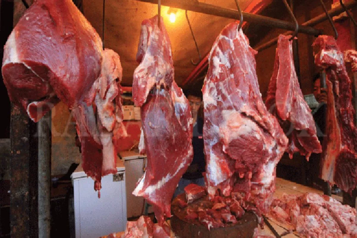 Tips Memilih Bahan Makanan Segar dan Berkualitas Agar Nutrisi Terjaga