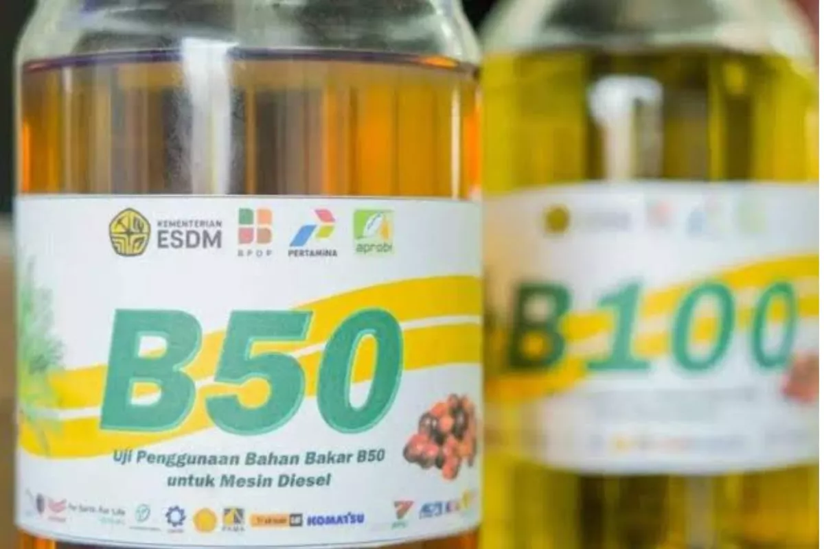 Pemerintah Mulai Terapkan Biodiesel B50, Peluncuran Tunggu Presiden