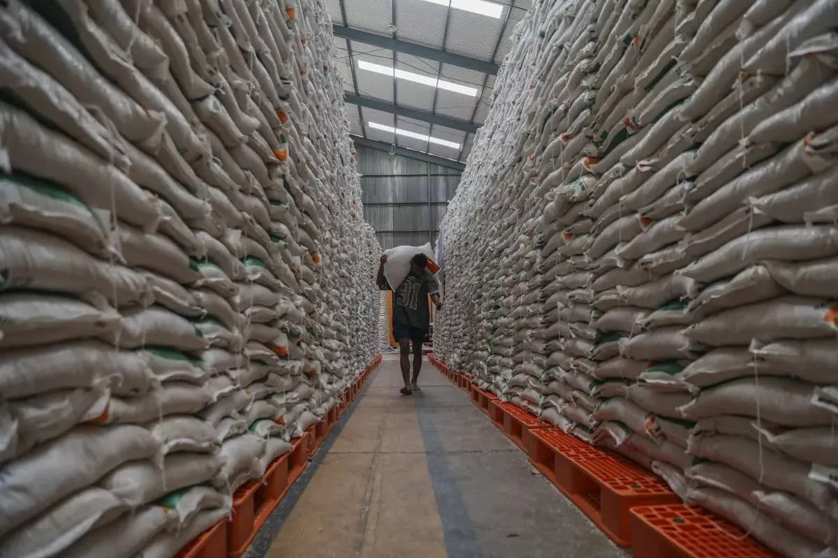 Atasi Tekanan Harga Beras Bulog Siapkan 4,5 Juta Ton Beras pada 2026
