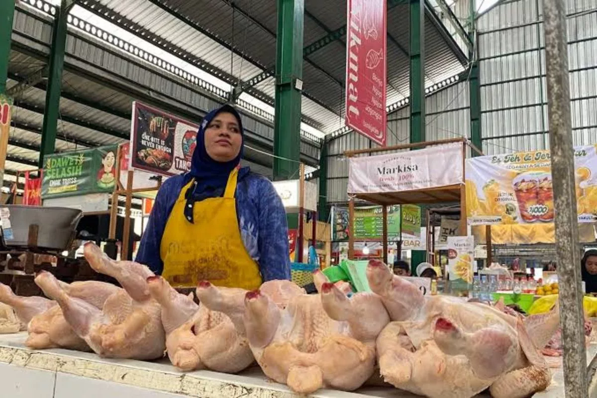 SPPG Beroperasi Lagi, BPS: Harga Daging Ayam Ras Naik