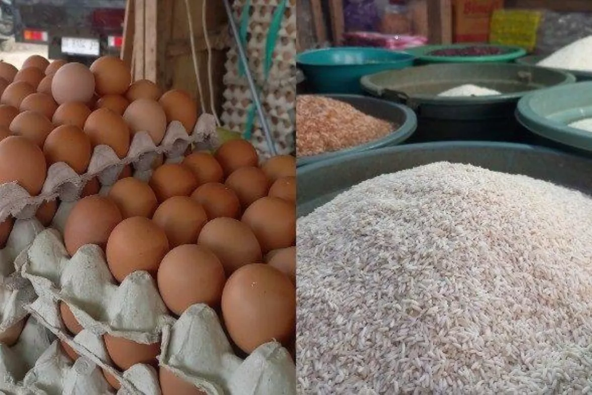 Harga Ayam, Telur, dan Beras Naik, Tito Karnavian Wanti-Wanti Pemda