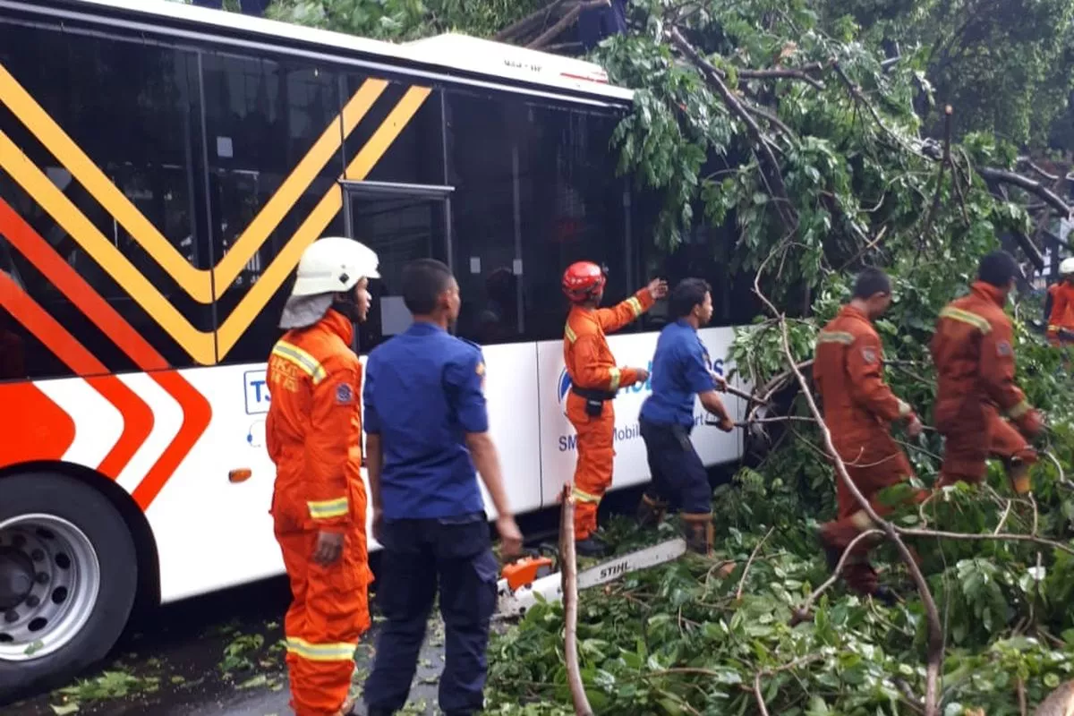 Imbas Pohon Tumbang Wahid Hasyim Transjakarta Lakukan Penyesuaian
