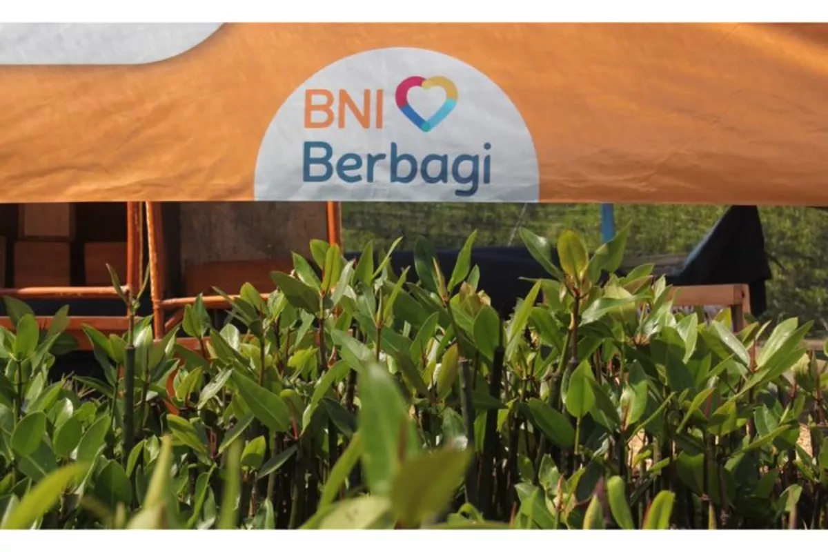 BNI Memperkuat Komitmen Pelestarian Lingkungan dan Ekonomi Pesisir